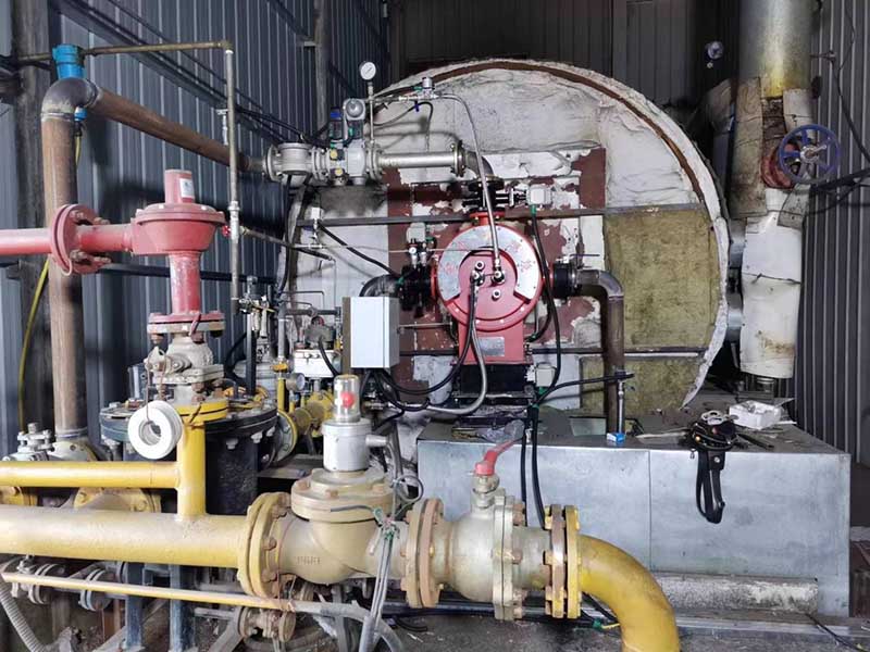 Biosyngas burner